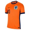 Camisola Holanda Memphis 10 Homen Equipamento 1ª Euro 2024